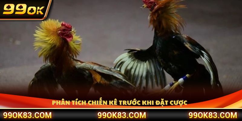 Đánh giá kỹ thể lực và phong độ chiến kê 